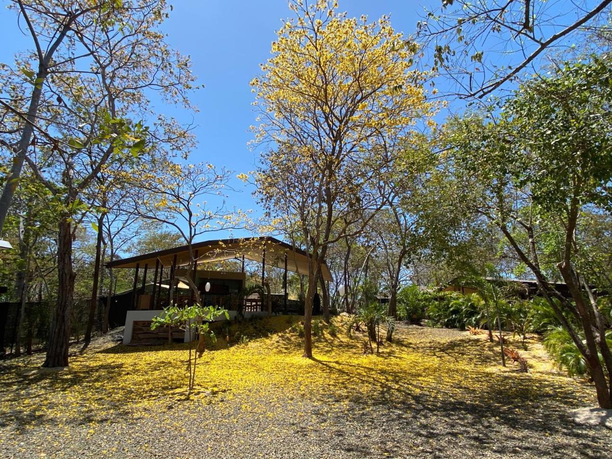 Villas Kalei プラヤ・グランデ エクステリア 写真
